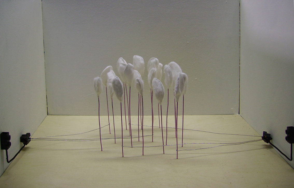 Installation PULSATING FLOWERFIELD